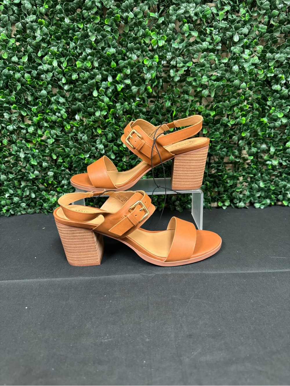 Market & Spruce Tysan Heel - W8